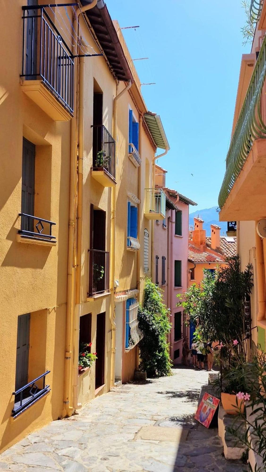 5RBUT1 - Maison familiale sur deux niveaux en plein coeur du centre ville Collioure Extérieur photo